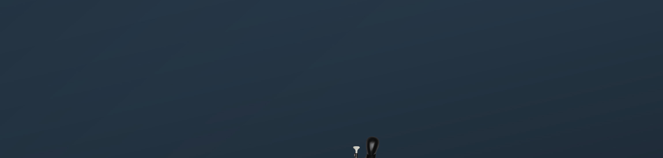 THE ADVENTURE COLLECTION